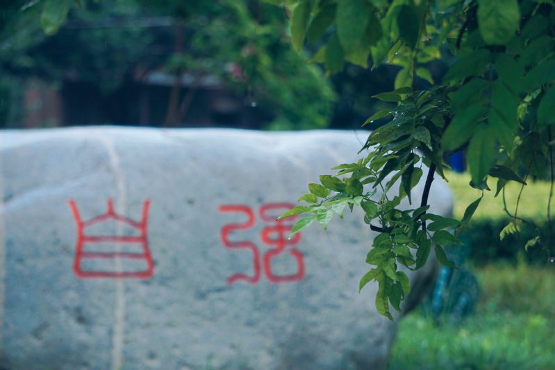 校园美景